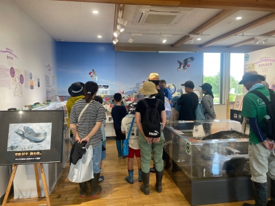 展示コーナーの見学の様子
