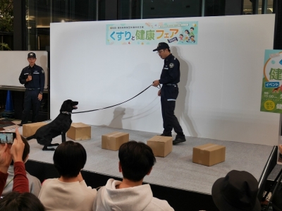 犬