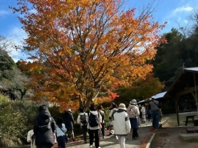 自然観察１