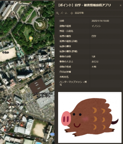 目撃情報（ズーム）