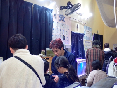 展示されている生き物を観察している様子