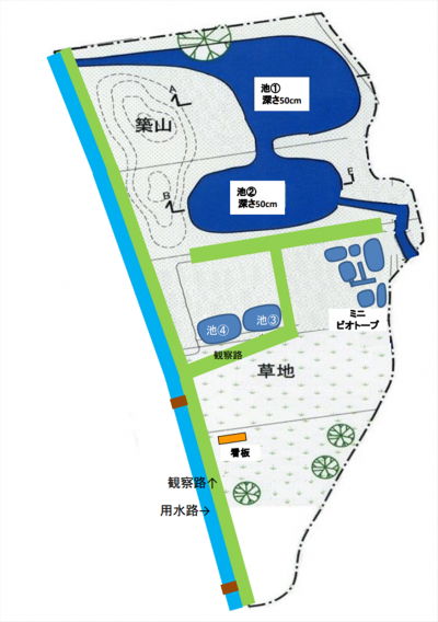 手光ビオトープ図面