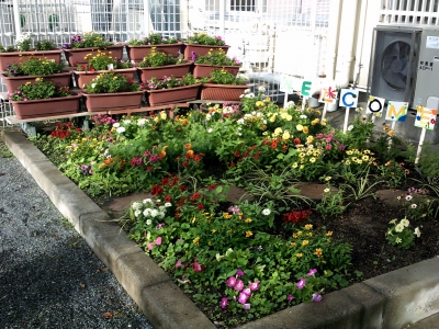 花壇の写真２（玉川小学校）