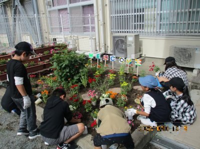 花壇の写真３（玉川小学校）