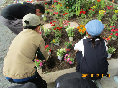 花壇の写真４（玉川小学校）