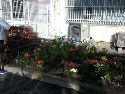 花壇の写真５（玉川小学校）