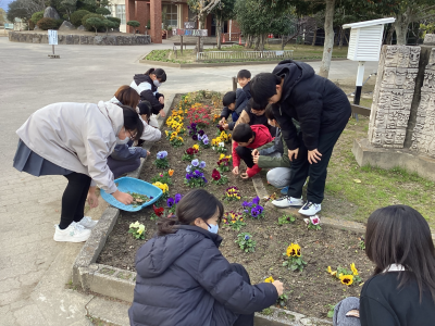 花壇の写真１（行橋北小学校）