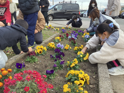 花壇の写真２（行橋北小学校）