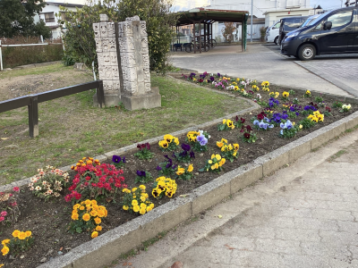 花壇の写真４（行橋北小学校）