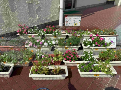 花壇の写真３（神興東小学校）