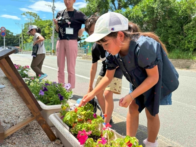 花壇の写真４（神興東小学校）