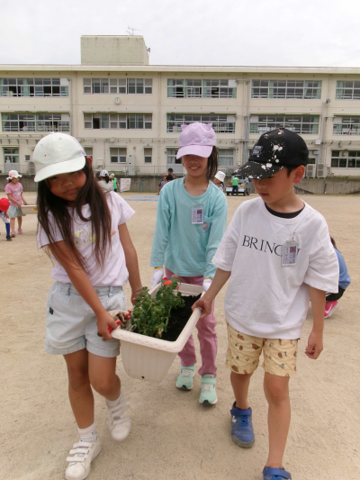 花壇の写真５（神興東小学校）