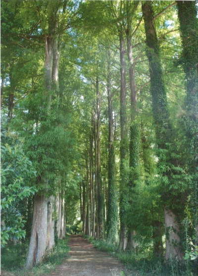 景観発見賞１