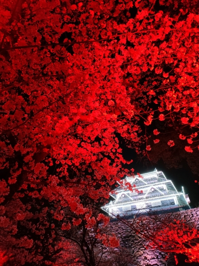 景観発見賞6
