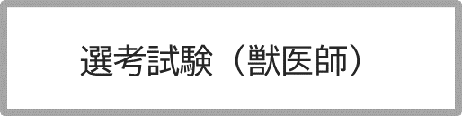選考（獣医師）