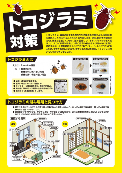 【福岡県】トコジラミ対策リーフレット