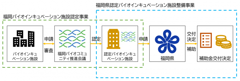 スキーム図