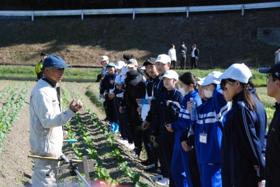 子どもたちの農業体験