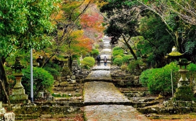 03_写真(英彦山神宮の参道(添田町))リサイズ済み