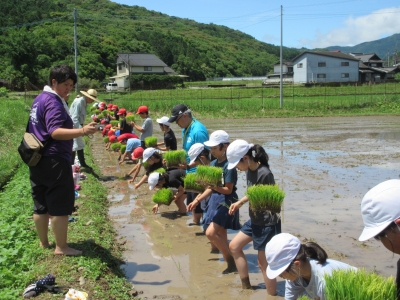 田植え体験（R6）