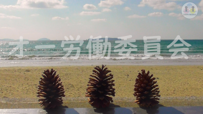 動画オープニング