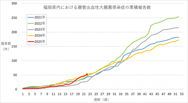 福岡県内における腸管出血性大腸菌感染症の報告数のグラフです。