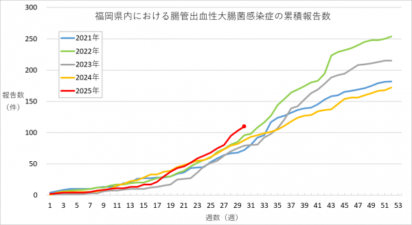 福岡県内における腸管出血性大腸菌感染症の報告数のグラフです。