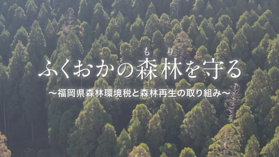 ふくおかの森林を守る、福岡県森林環境税と森林再生の取り組み