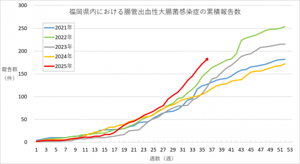 福岡県内における腸管出血性大腸菌感染症の報告数のグラフです。