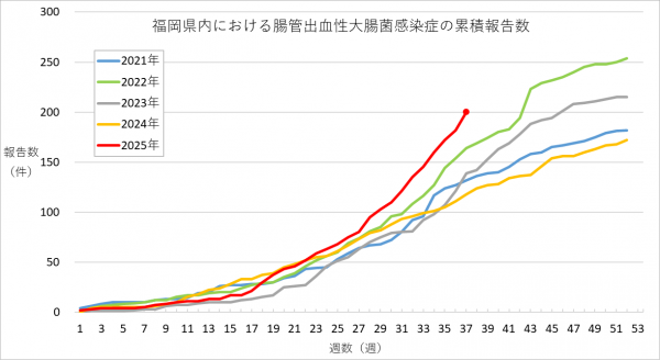 福岡県内における腸管出血性大腸菌感染症の報告数のグラフです。