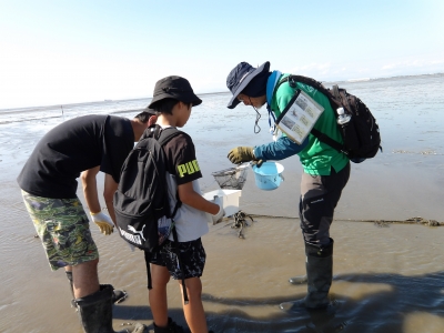 矢部川源流生きもの調査