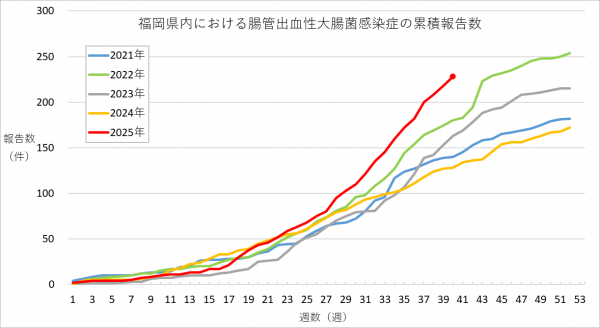 福岡県内における腸管出血性大腸菌感染症の報告数のグラフです。