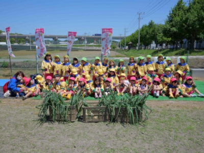 自社農園の園児たちの収穫