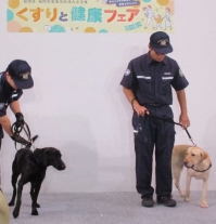 麻薬探知犬