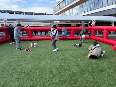 エアー式ドッグラン（イメージ）