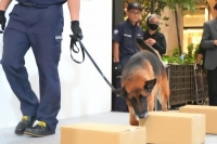 麻薬探知犬