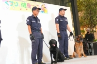 麻薬探知犬2