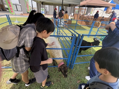 ふれあい動物園（昨年度）