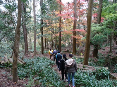 森林浴体験ツアー