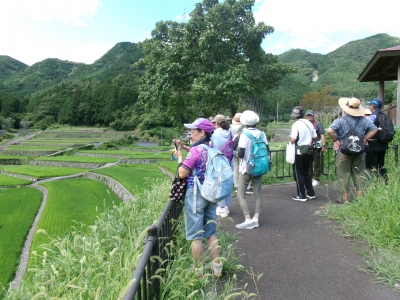 フォトガイドツアー