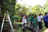 ソロモン諸島での活動の様子