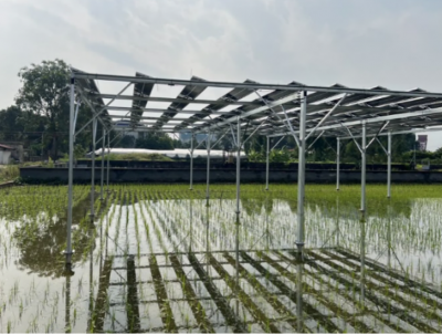 ベトナム国家農業大学の水田に設置されているソーラーシェアリングの写真です。