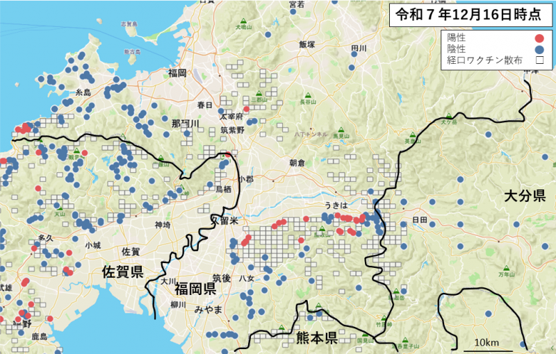 経口ワクチン散布