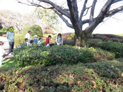 自然観察写真１