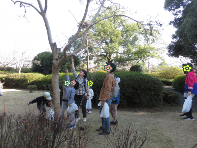 自然観察写真２