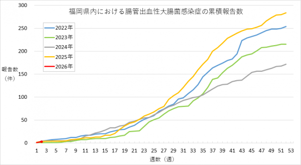 福岡県内における腸管出血性大腸菌感染症の報告数のグラフです。