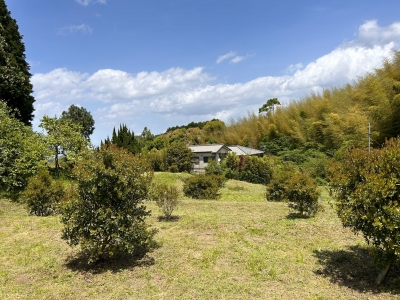 サポーター活動の様子