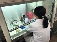 薬剤感受性試験の様子