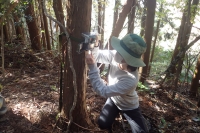 センサーカメラによる野生動物調査２