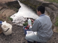 水質検査の様子